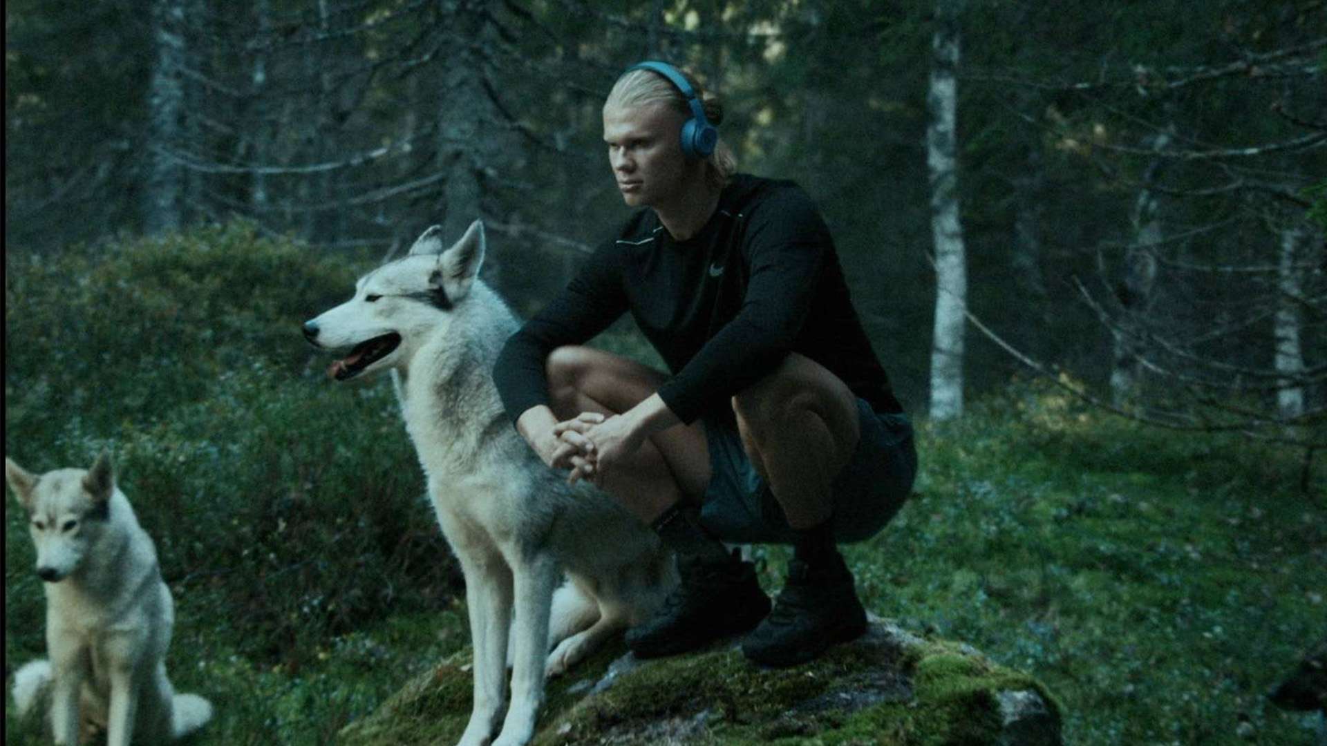 球队之一 球队之一