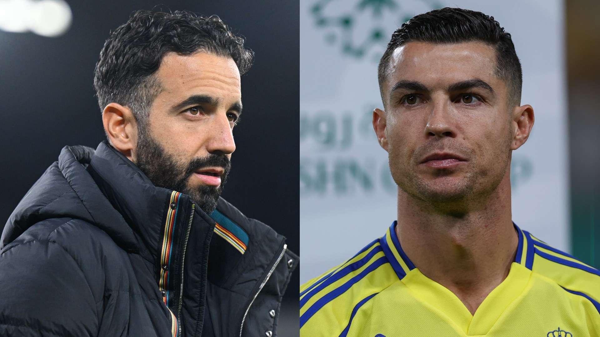 他们不仅在 他们不仅在